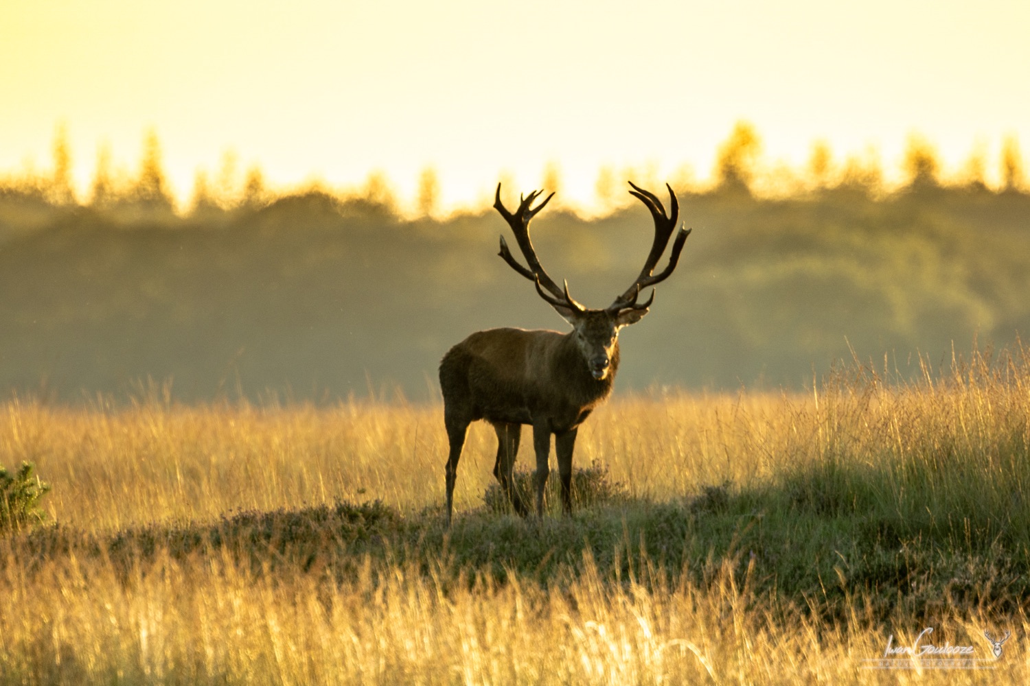 24 september 2023 190654  R2A5819